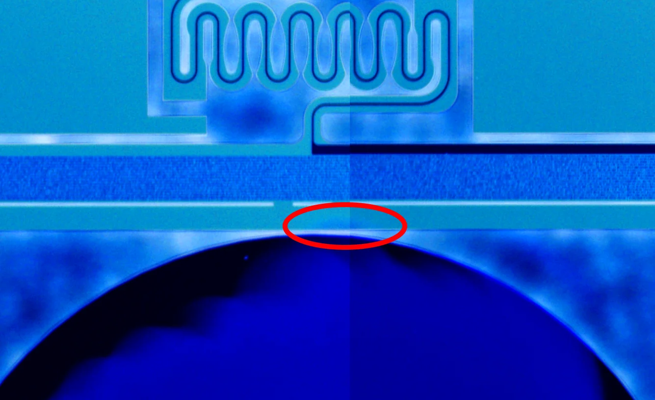 Faint gold layer that reached the support frame, close to the coils (colours inverted for visibility)