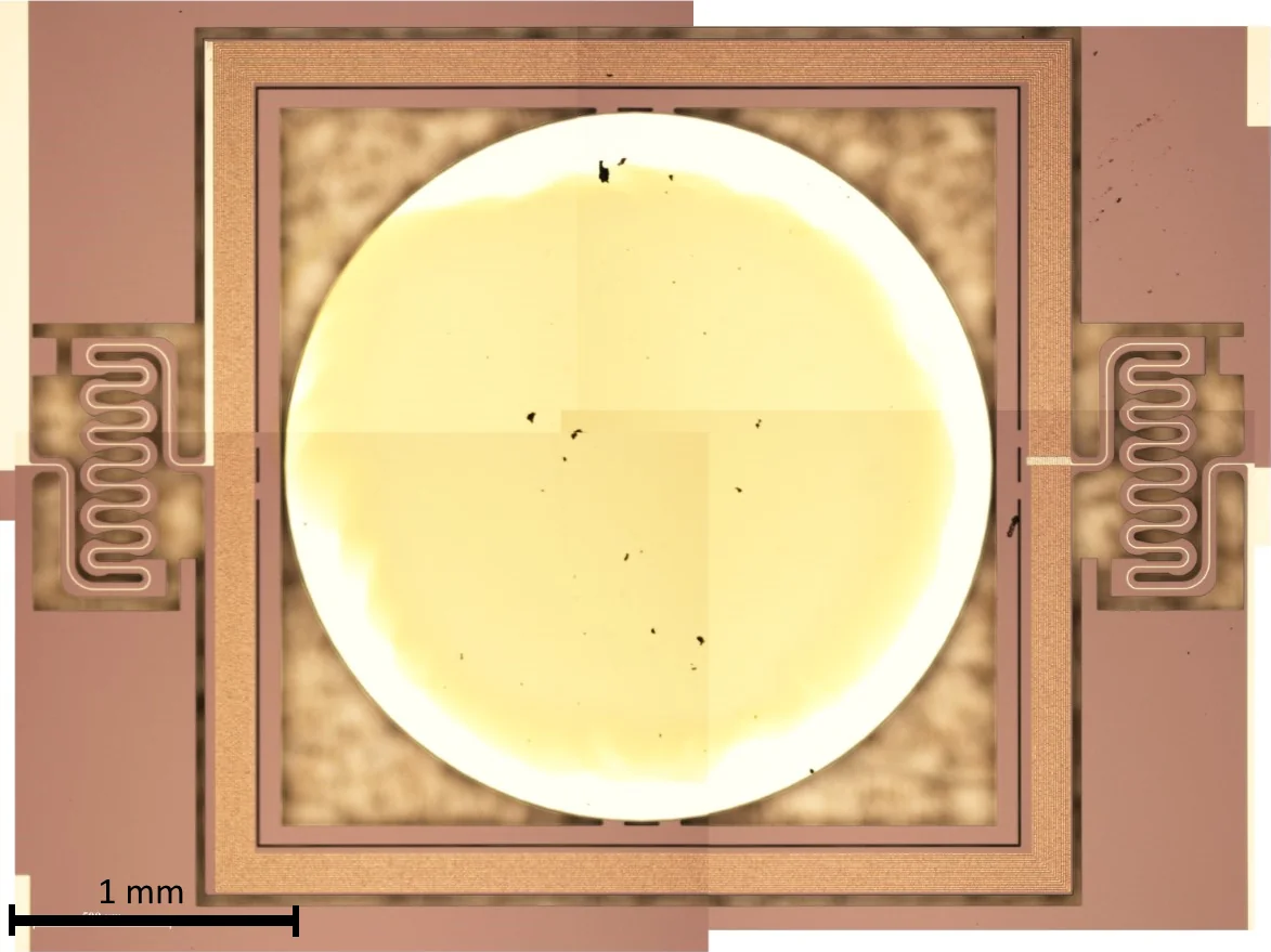 Microscope image of the gold-coated mirror